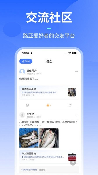 路了个鱼官方版截图1